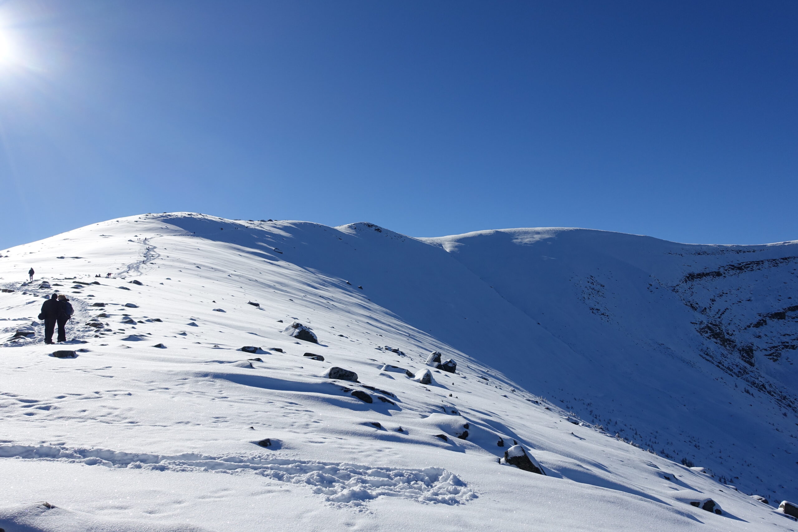 Image Credit: Emma Slieker